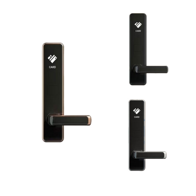 Intelligent Digital Push Pull Smart Door Lock